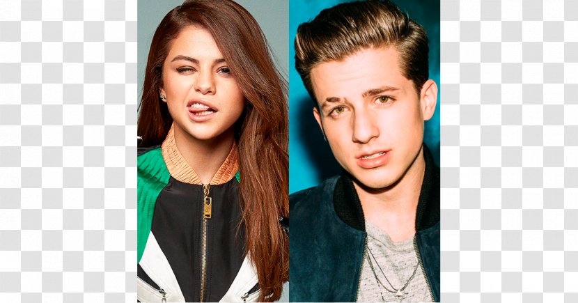 Selena Gomez Charlie Puth We Don't Talk Anymore 刘也 SWIN - Tree Transparent PNG