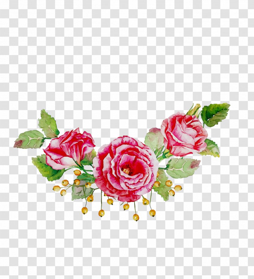 Garden Roses Cabbage Rose Floral Design Cut Flowers - Pink M Transparent PNG