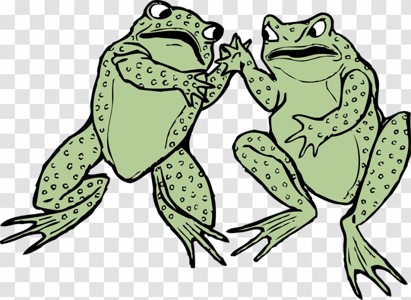 Frog Amphibian Clip Art - Terrestrial Animal Transparent PNG