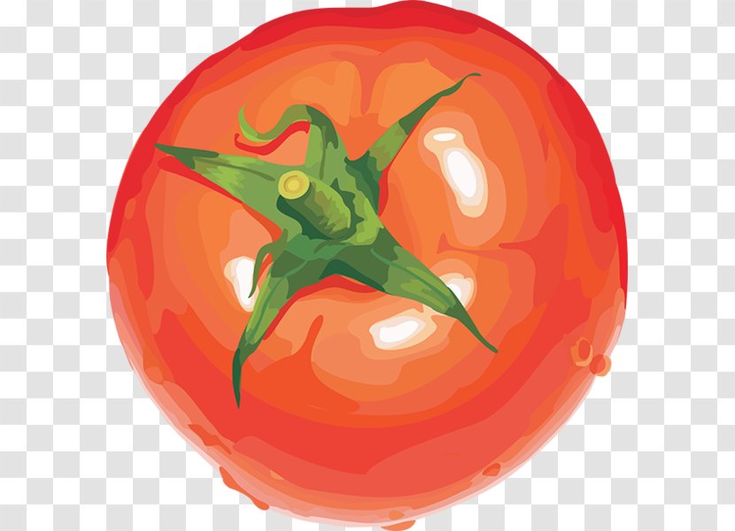 Vegetable Vegetarian Cuisine Fruit Cherry Tomato Clip Art Transparent PNG