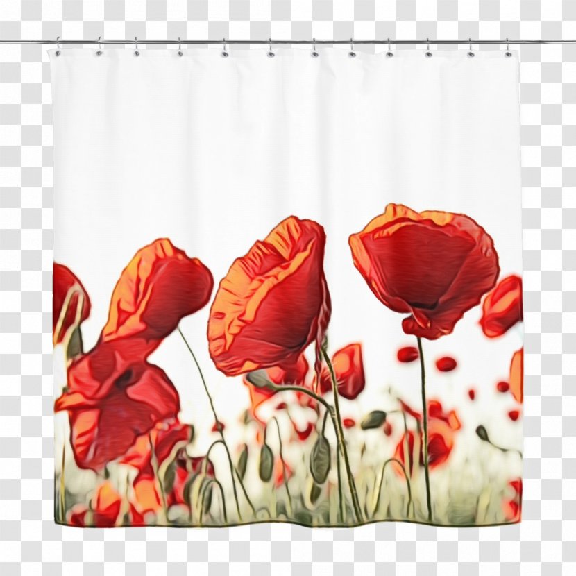 Lily Flower Cartoon - Window Treatment - Flowering Plant Transparent PNG