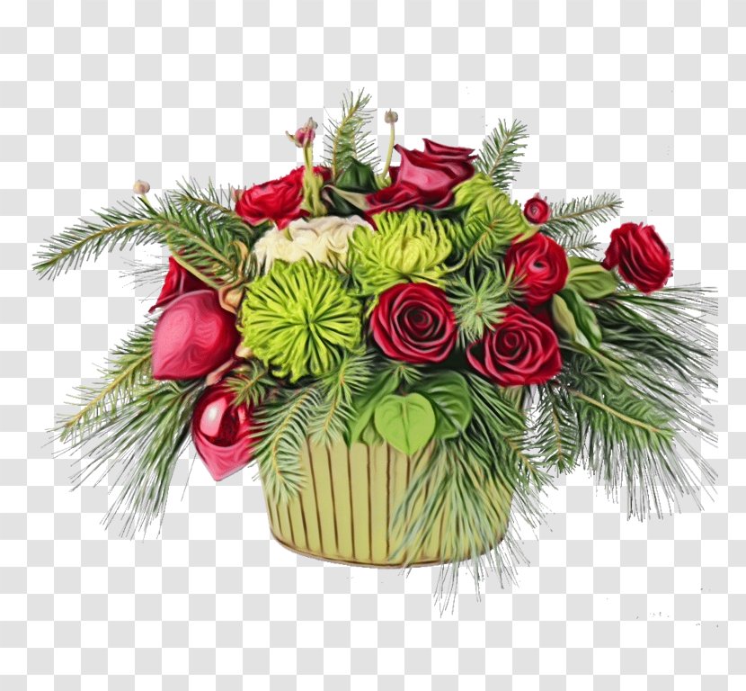 Christmas Decoration - Plant - Flowerpot Pine Transparent PNG