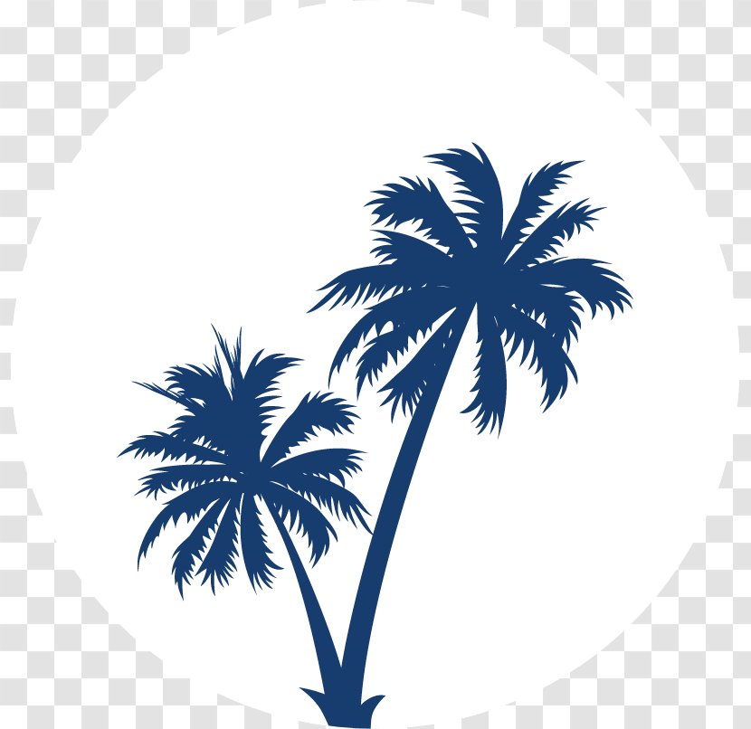 Arecaceae Wall Decal Silhouette Clip Art - Tree Transparent PNG