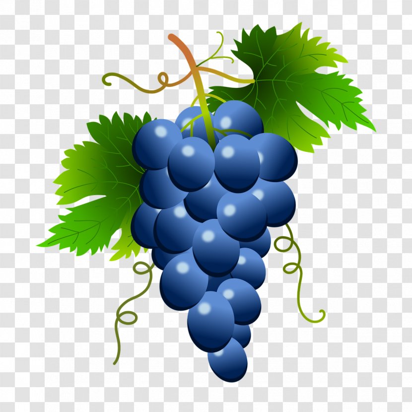 Common Grape Vine Wine Clip Art Food - Blue Transparent PNG