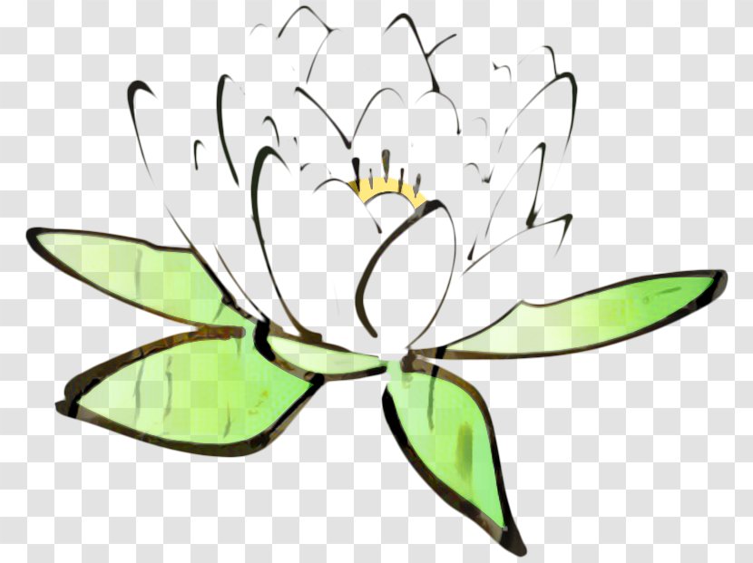 White Lily Flower - Proteales - Pedicel Transparent PNG