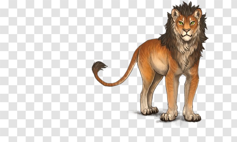Lion Big Cat Roar Terrestrial Animal - Puma Transparent PNG
