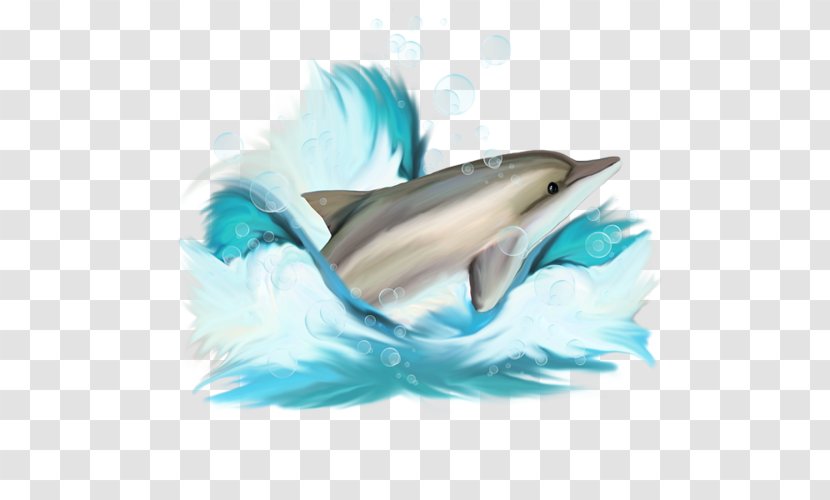 Dolphin Clip Art - Raster Graphics - Creative Transparent PNG