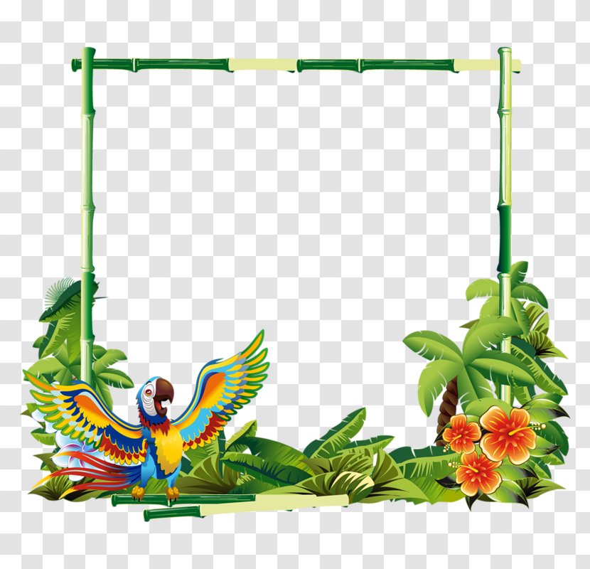 Macaws - Swing - Beak Transparent PNG