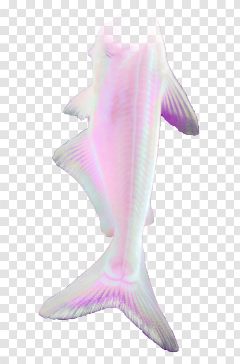 Lilac Purple Marine Mammal Fish Tail - Pink - Mermaid Transparent PNG