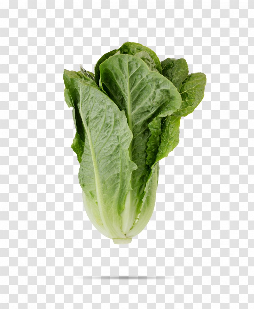 Leaf Vegetable Romaine Lettuce Salad Cruciferous Vegetables - Spinach Transparent PNG