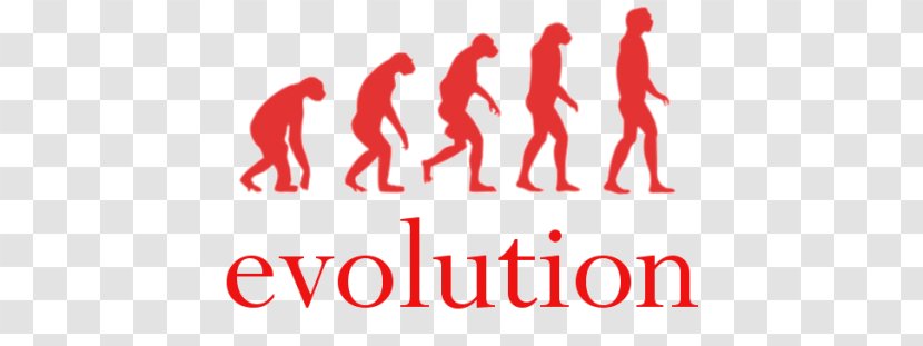 Human Evolution Homo Sapiens The Origin Of Brands Ape - Natural Selection - Life Transparent PNG