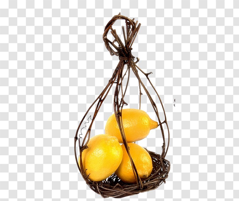 Lemon - Citrus - Food Transparent PNG