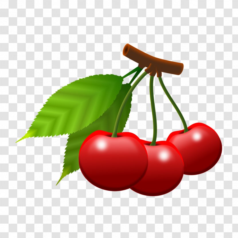 Cherry Fruit Berry Transparent PNG