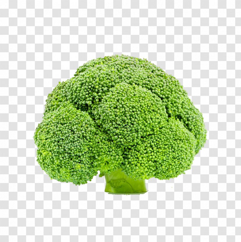 Broccoli Vegetable Cauliflower - Food - Creative Transparent PNG