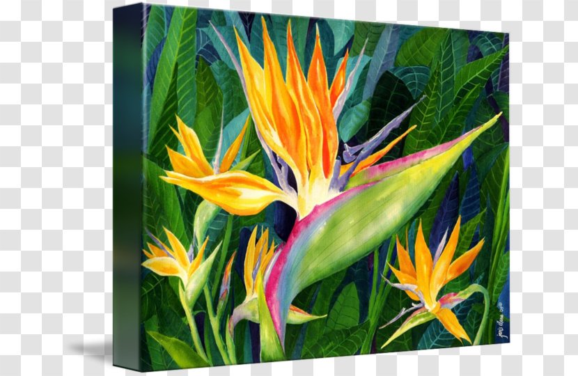 Bird-of-paradise Strelitzia Reginae Art Painting - Artist - Bird Transparent PNG