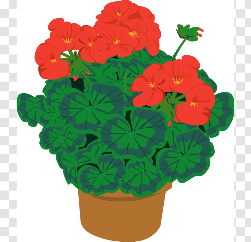 Houseplant Flowerpot Clip Art - Geraniales - Lantana Flower Cliparts Transparent PNG