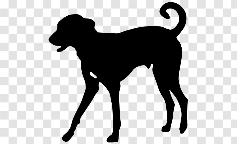 Dobermann Rottweiler Pet Sitting Puppy Clip Art - Tail Transparent PNG