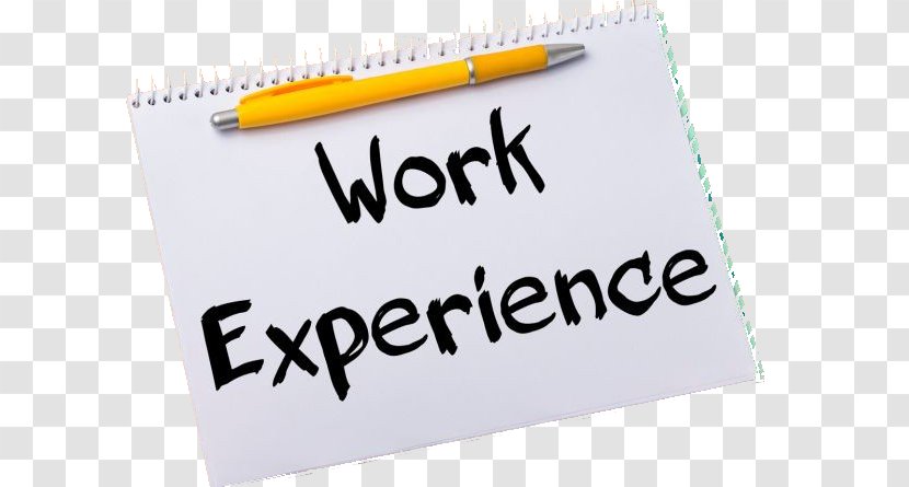 Work Experience Student Intern School Transparent PNG