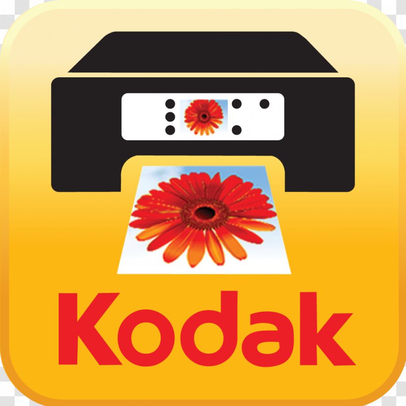 Bradford & Bigelow Kodak Logo Business Photography - Alaris Transparent PNG