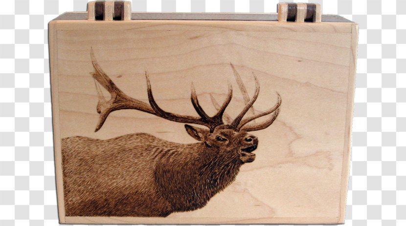 Deer Elk Pyrography Wood Art Transparent PNG