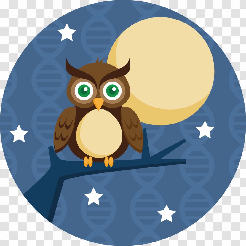 Owl Bird - Beak - Sleepy Transparent PNG