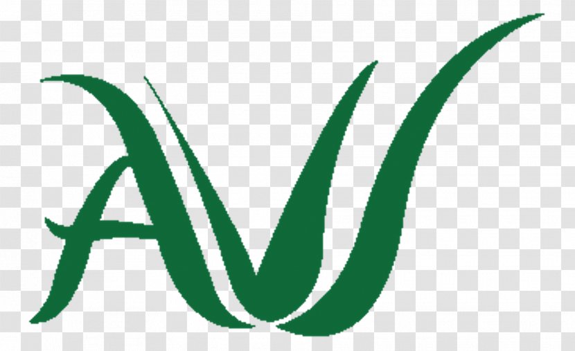 Logo Graphic Design Leaf Font - Brand - Aloe Vera Transparent PNG