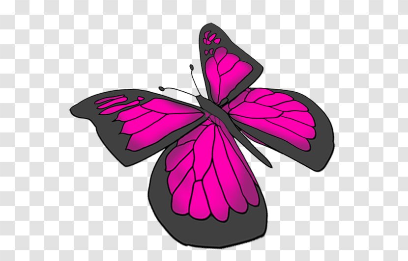 Butterfly Pink Purple Drawing - Brush Footed Transparent PNG