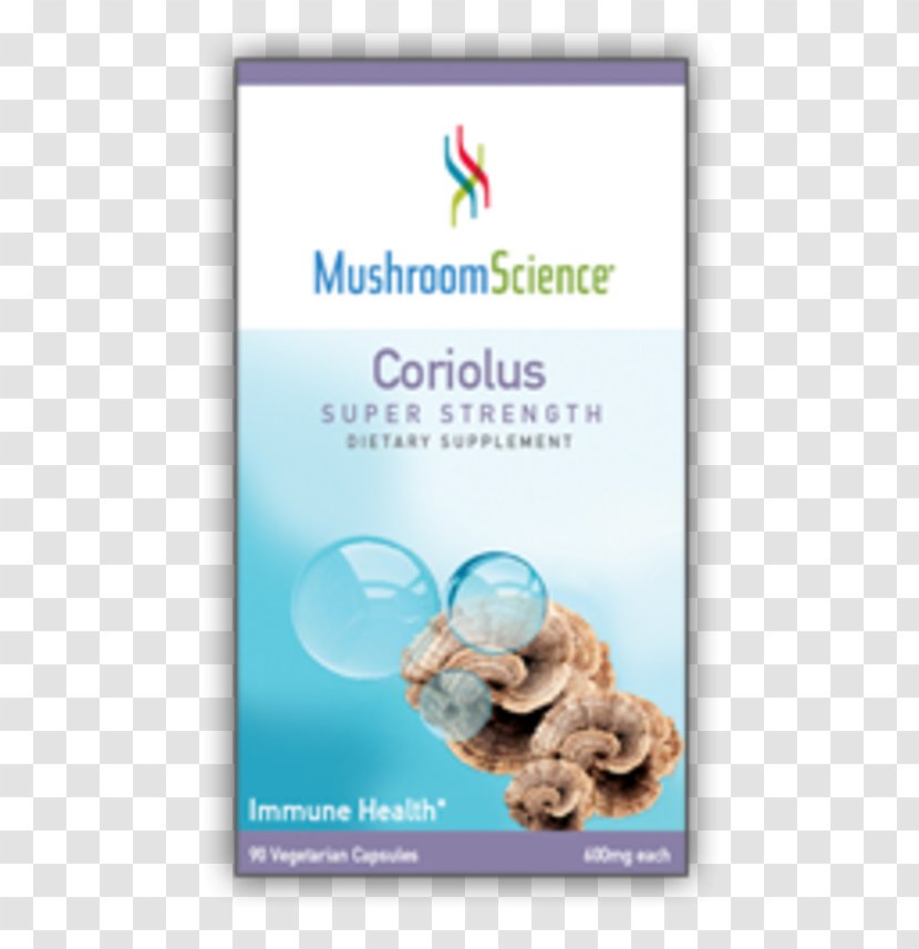 Turkey Tail Dietary Supplement Mushroom Vegetarian Cuisine Science - Cordyceps Transparent PNG