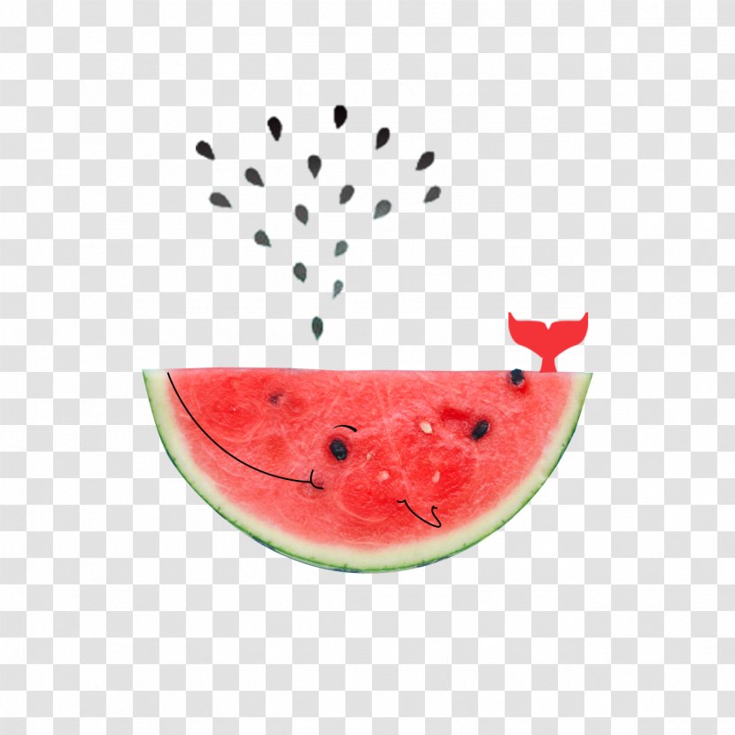 Watermelon Citrullus Lanatus Cartoon Summer - Fruit - Whale Transparent PNG