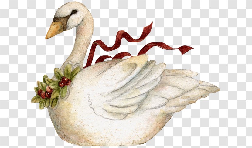 Goose Duck Bird Mute Swan Clip Art - Neck Transparent PNG