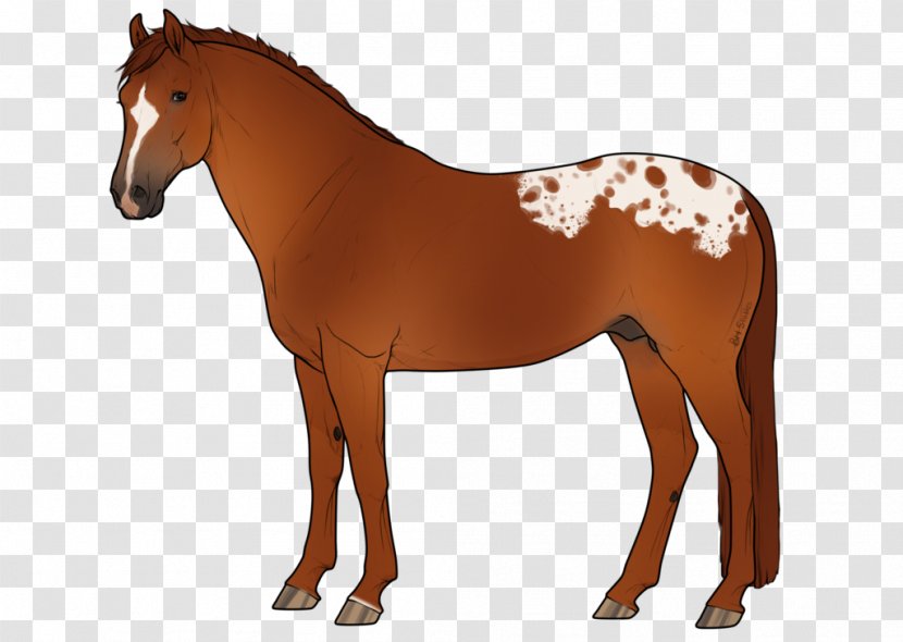 Horse Stallion Dragons Love Tacos & Other Stories Mare Pony - Mammal Transparent PNG