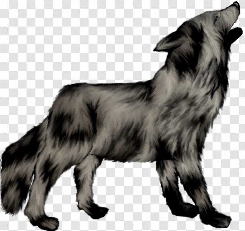 Dog Breed Canidae Mammal Carnivora - Vulnerable Native Breeds - Painted Gray Wolf Transparent PNG