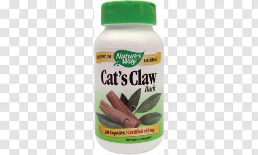 Cat's Claw Dietary Supplement Health Capsule - Adjuvant - Cat Transparent PNG