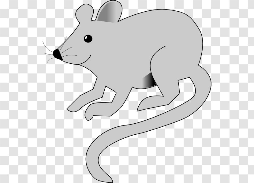 Mouse Animation Clip Art - Fauna - Rat & Transparent PNG