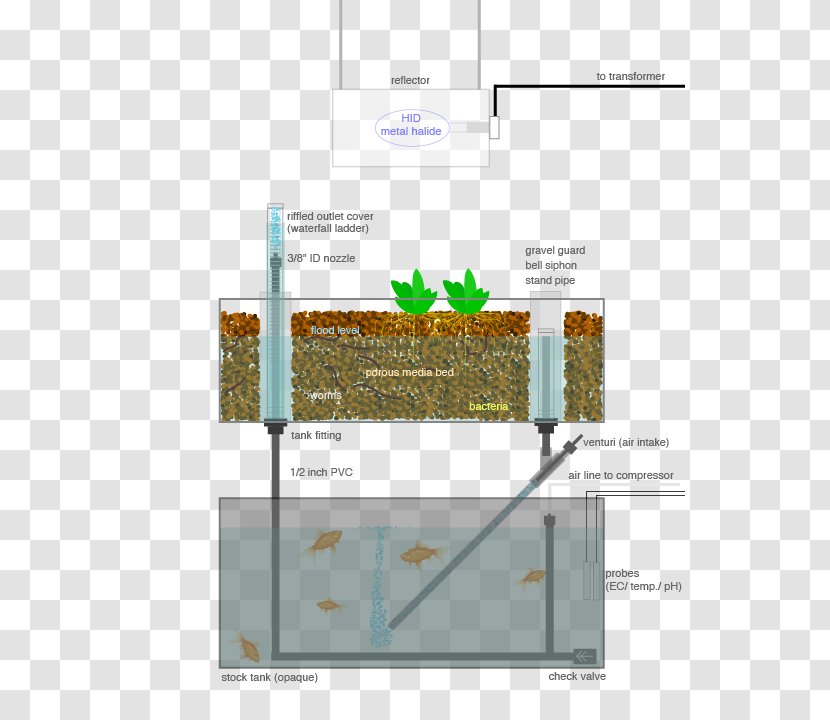 Aquaponics Hydroponics Farm Garden Greenhouse - Gardening - Diagram Transparent PNG