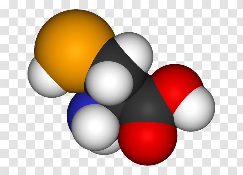 Selenocysteine Amino Acid Selenoprotein Selenium - Structural Analog - Alanine Transparent PNG