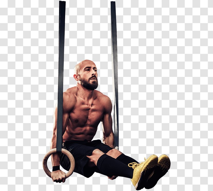 MARX HALLE Exercise Equipment Physical Fitness Calisthenics Street Workout - Cartoon Transparent PNG