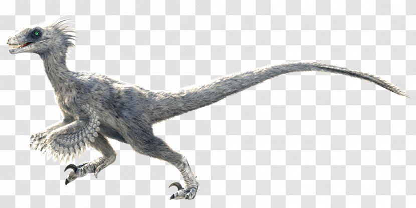 Primal Carnage Velociraptor Feather Dinosaur Diablo III - Extinction - Bearded Dragon Transparent PNG