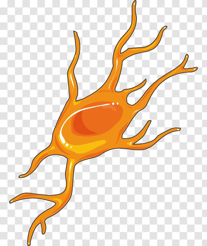 Nervous System Servier Medical Clip Art Medicine Microglia - Neurology - Brain Blast Transparent PNG