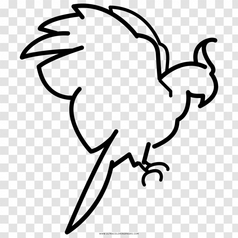 Parrot Coloring Book Black And White Drawing - Bird Transparent PNG