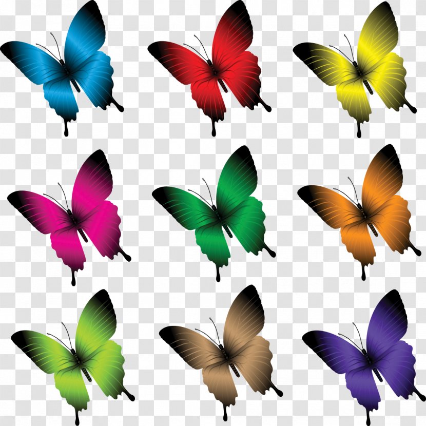 Butterfly Photography Clip Art - Monarch Transparent PNG