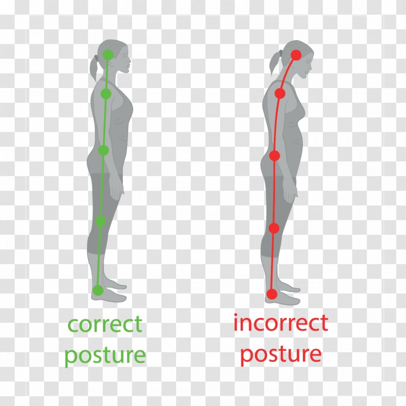 Poor Posture Neutral Spine Vertebral Column Sitting - Diagram - Health Transparent PNG