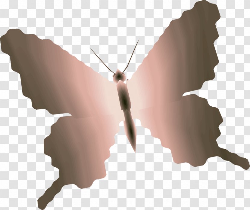 Moth - Arthropod - Butterfly Transparent PNG