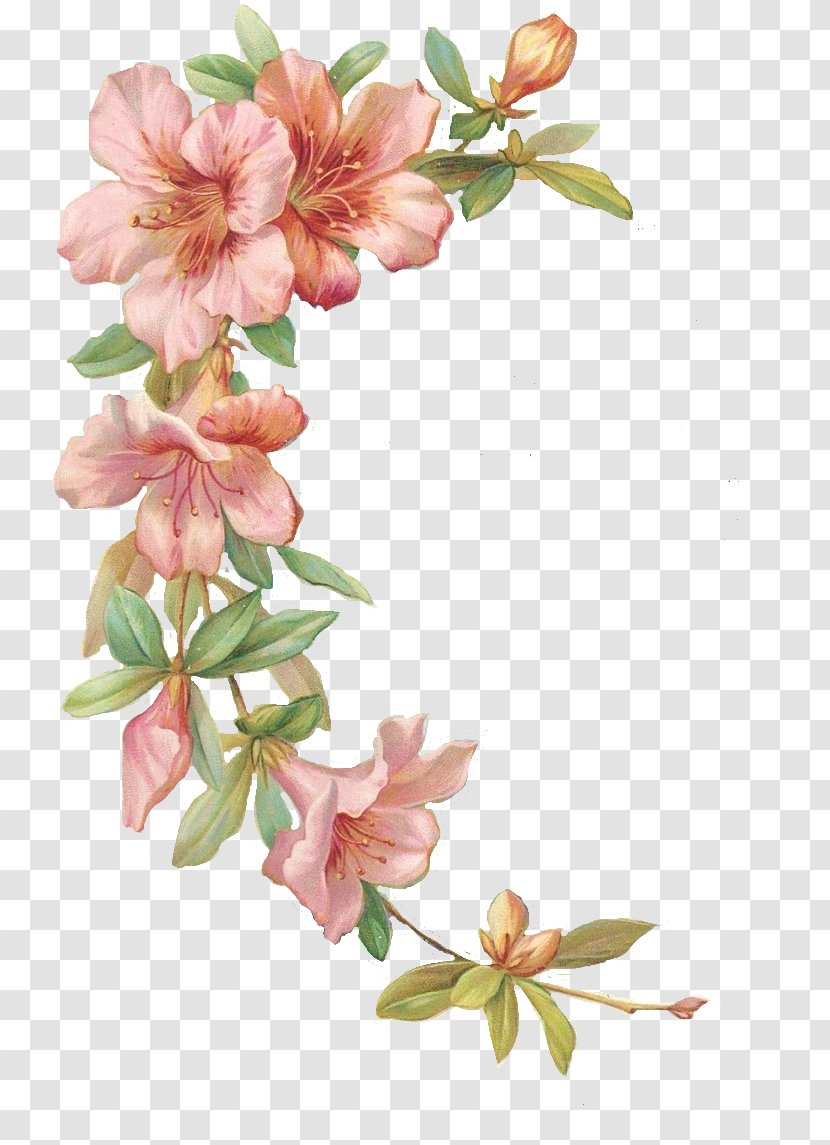 Hibiscus Clip Art - Floral Design - Monstera Transparent PNG