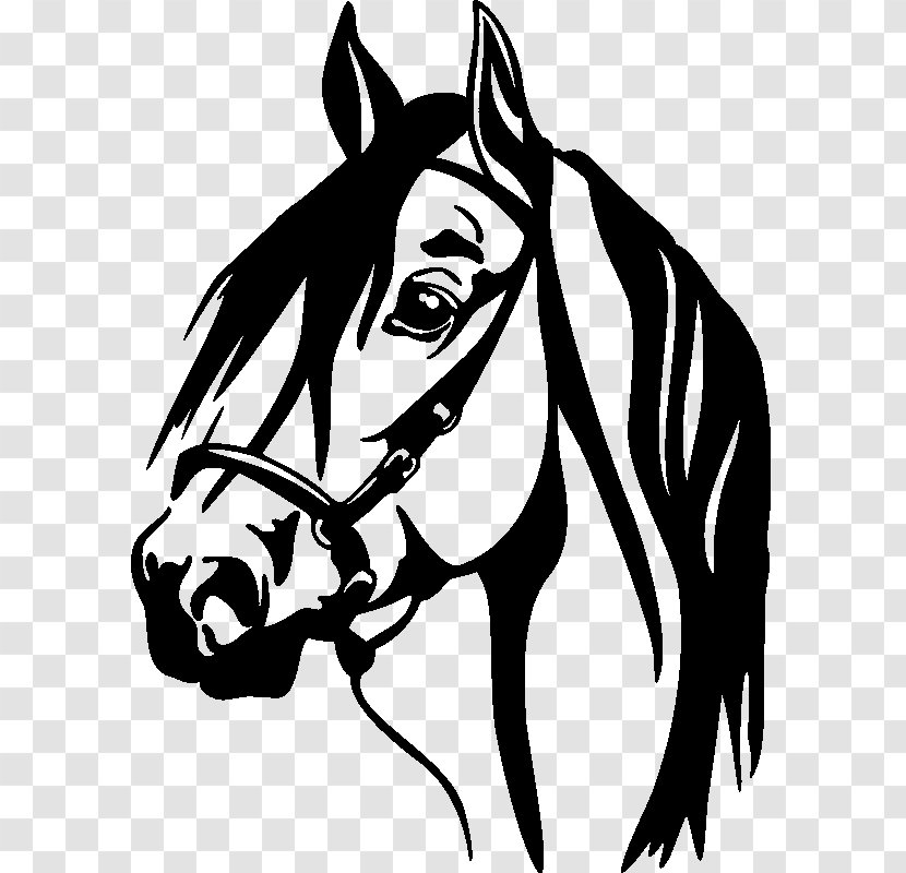 Horse Wall Decal Window Sticker - Bumper Transparent PNG