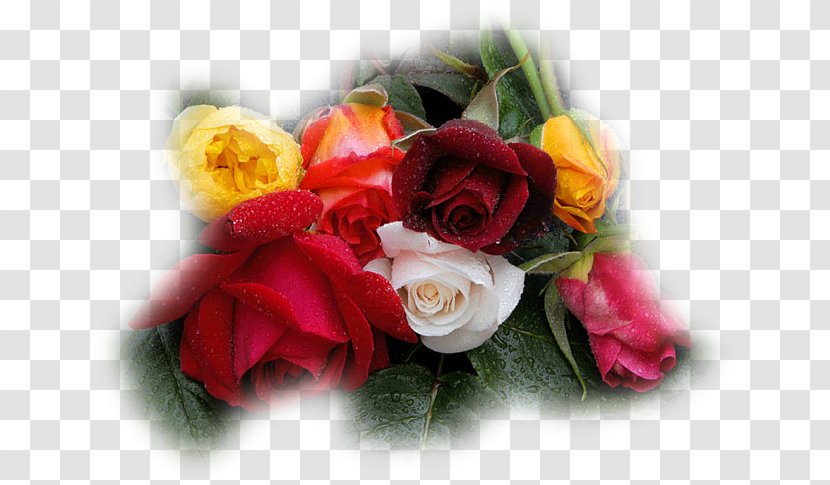 Flower Bouquet Garden Roses - Raceme Transparent PNG