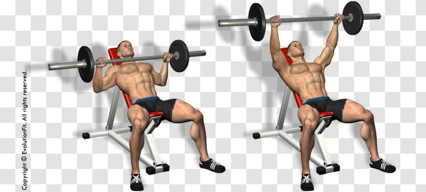 Exercise Bench Press Physical Fitness Centre - Heart - Dumbbell Shoulder Transparent PNG