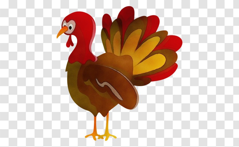 Fowl Chicken Poultry Livestock Beak Transparent PNG