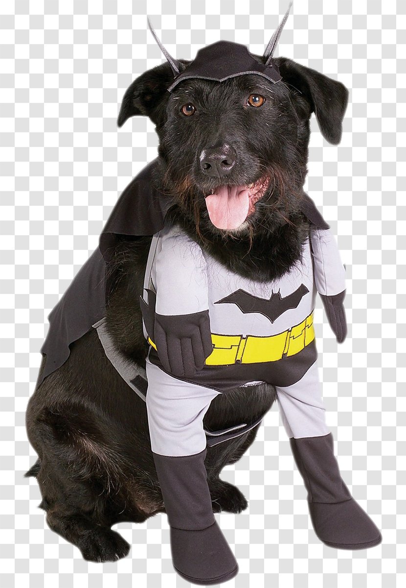 Dog Halloween Costume Puppy - Petsmart Transparent PNG
