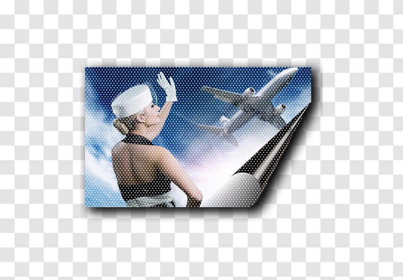 Flight Attendant Airplane Airline Aircraft Cabin Transparent PNG